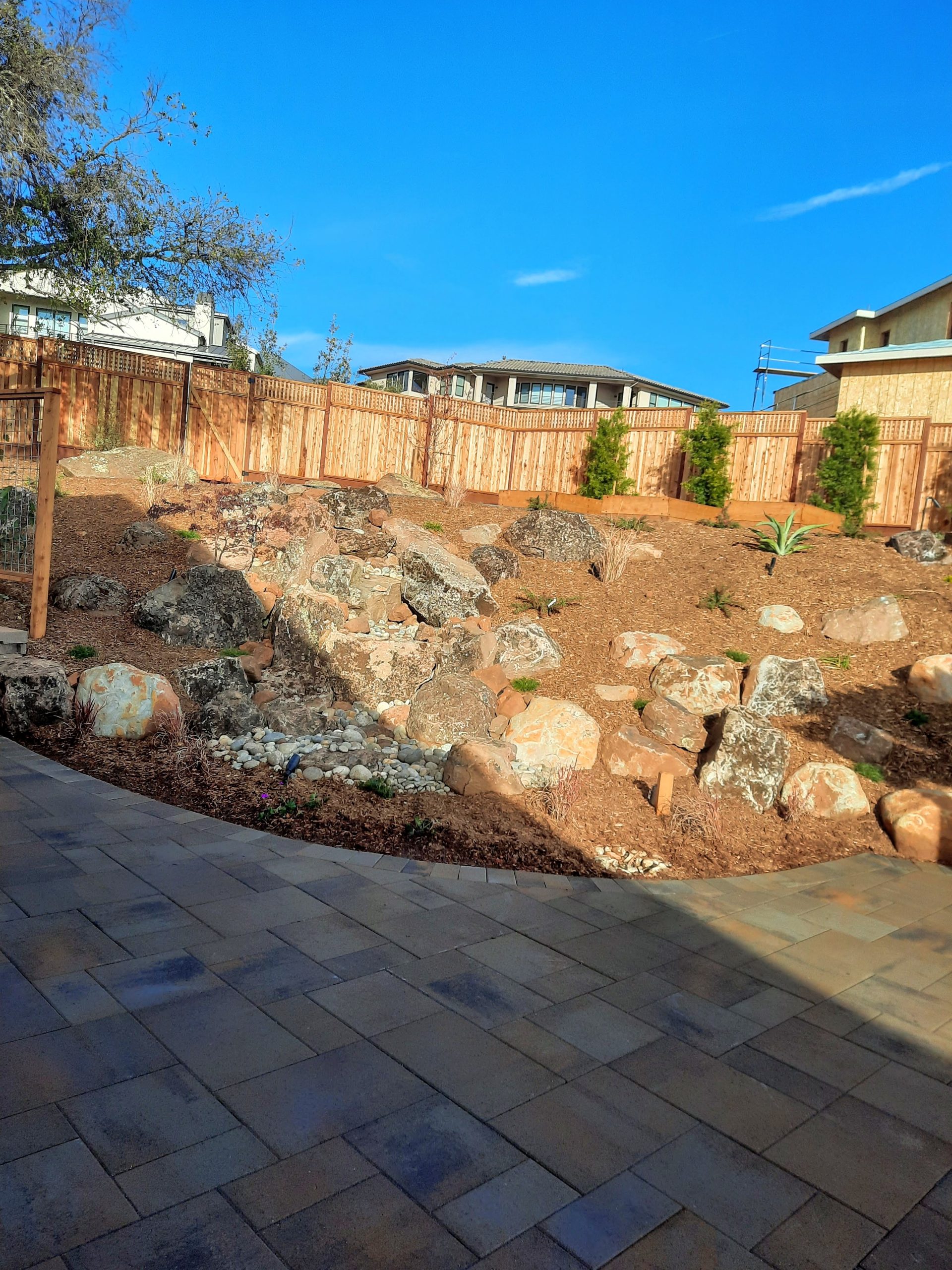 Planting work by The Great Landscape LLC