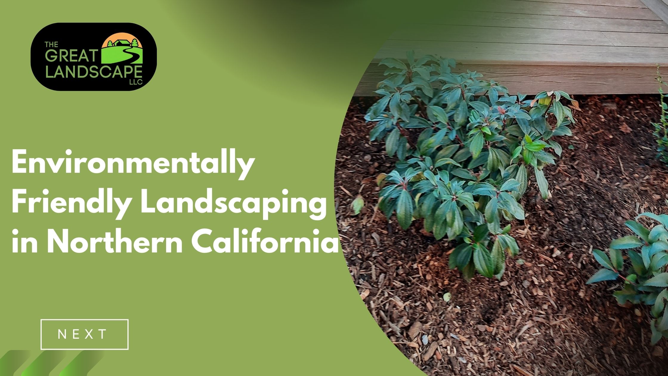 Environmentally Friendly Landscaping